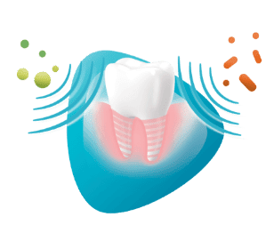 Gum Icon